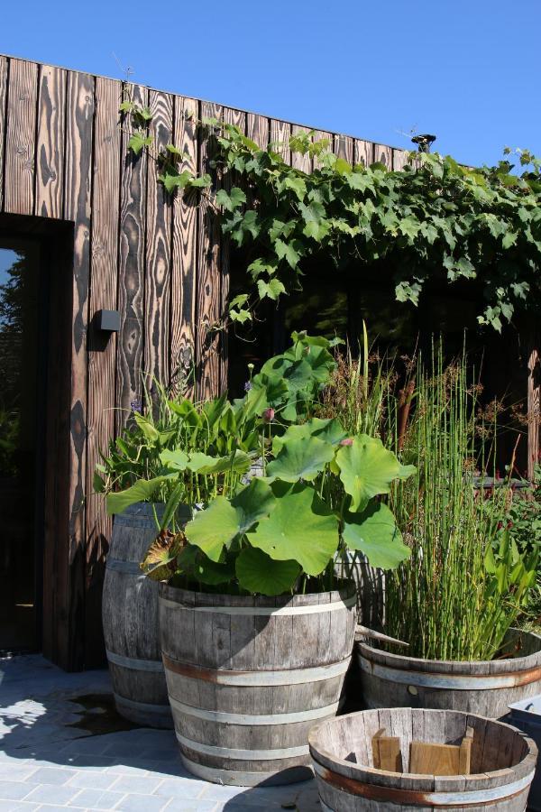 Clos Des Poulies La Ferté-Saint-Aubin Zewnętrze zdjęcie